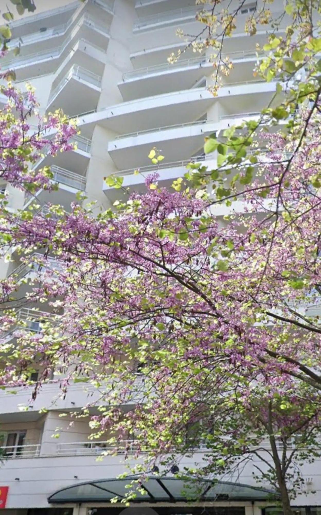 Mycityhaven Paris La Defense Курбьовоа Екстериор снимка